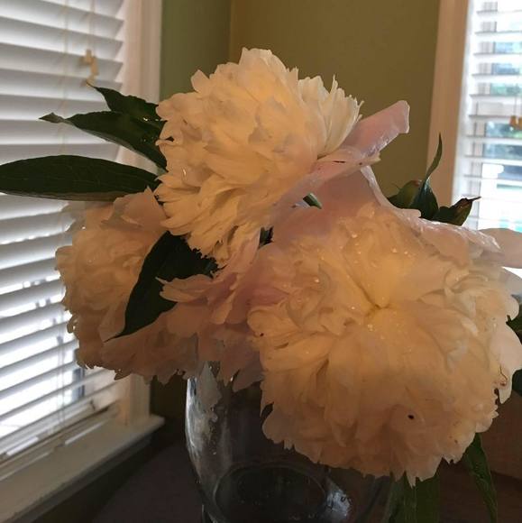 kellydaugherty8